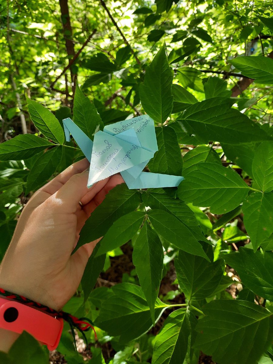 Воспитанники, родители и сотрудники #ГБОУ_ООШ_19_СП_Детский_сад_Аист приняли участие во  Всероссийской акции «День памяти и скорби».
#журавли #день_памяти_и_скорби #акцияжуравли #акция_журавли

vk.com/wall24453196_2…
vk.com/wall400819073_…
vk.com/wall400819073_…