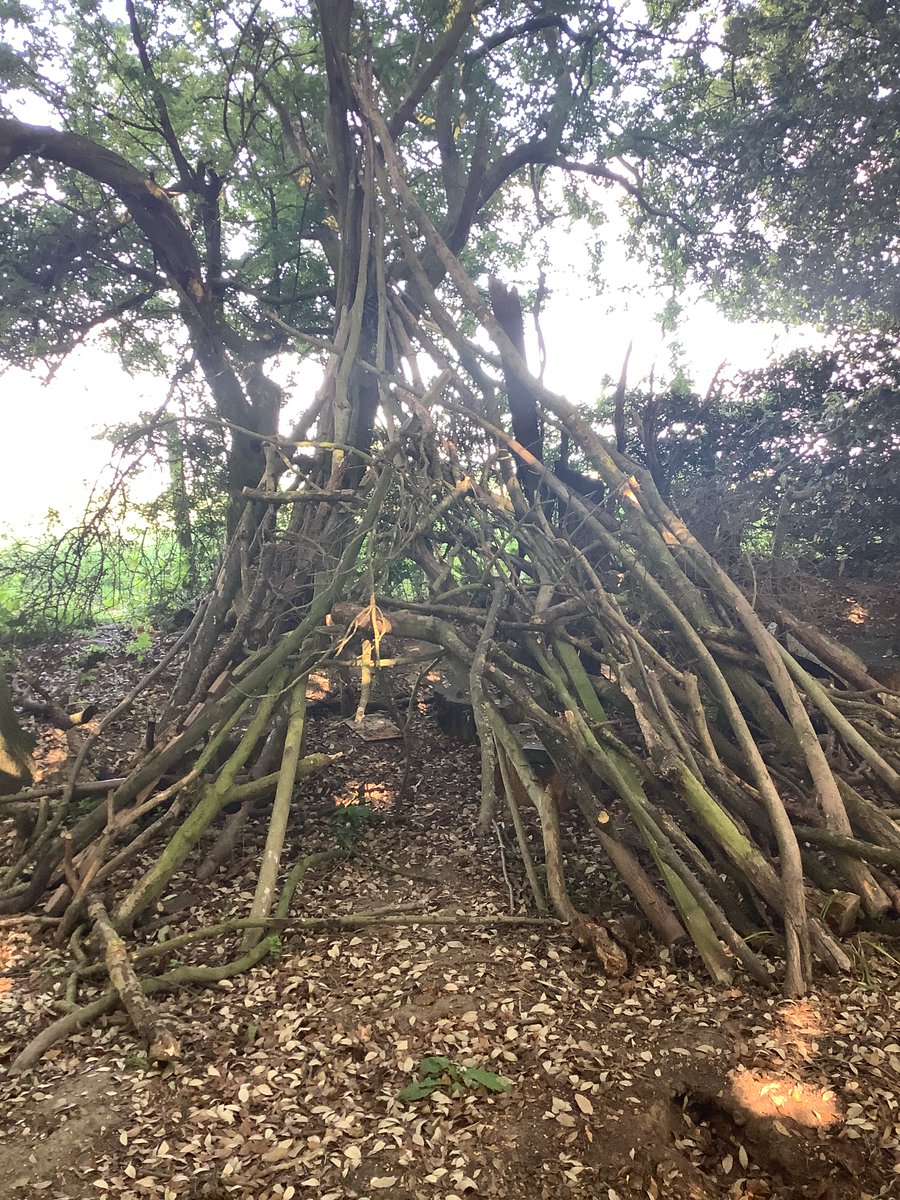CarrdusYear4's tweet photo. Where else would be better to find and make 3D shapes than the woods @CarrdusSchool #outdoorlearning https://t.co/xLzaLZmq2o