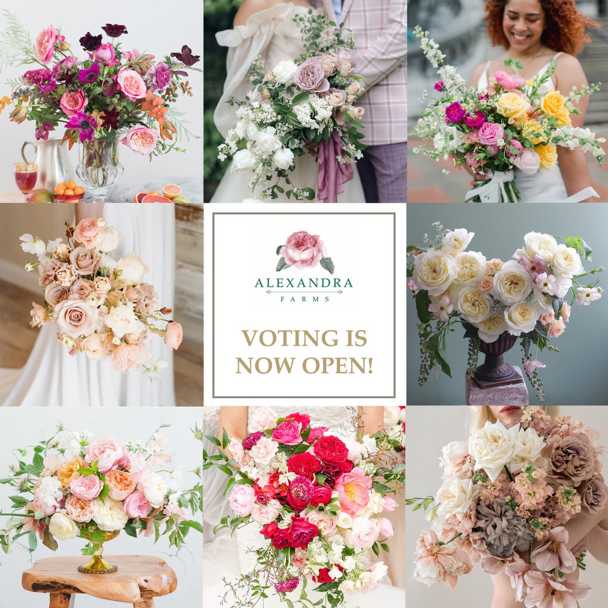 Voting is now open for the Readers' Choice Awards in our 2021 Garden Rose Design Contest! Visit bit.ly/grdc-voting to vote for your favorite designs. Contest results will be announced in August. #GardenRoseDesignContest #gardenroses #alexandrafarms