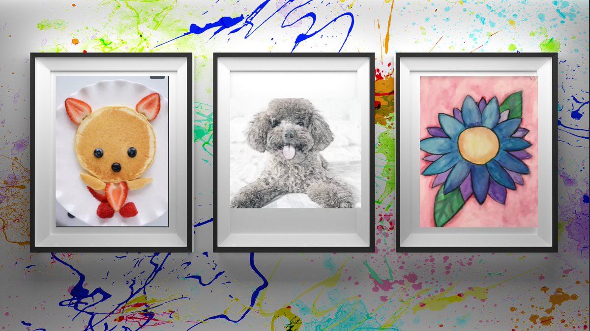 During these unprecedented times, 'Picture This!'...Our three schools - @60clearstream, Forest Road and @shawaveschool unite to create an explosion of creativity. To view the virtual art gallery, please click here: padlet.com/cgiardella/2jd…