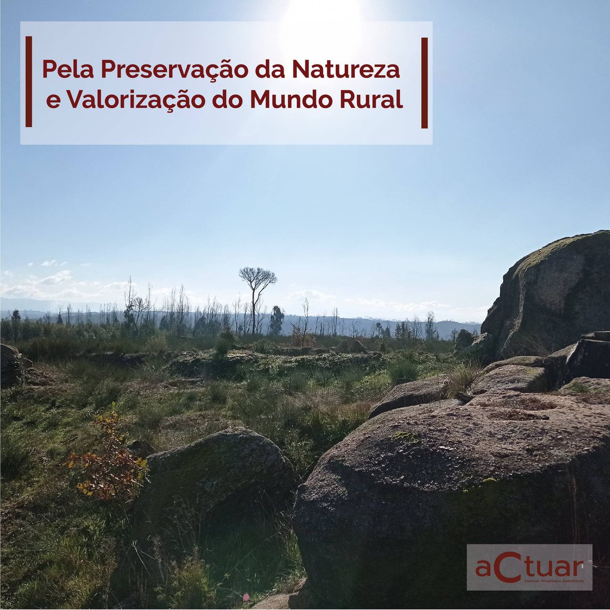 actuar_e's tweet photo. 17 de Junho

Dia Mundial do Combate à Seca e à Desertificação 🌲🐿🦔🍇 https://t.co/Fj9GHA53TO