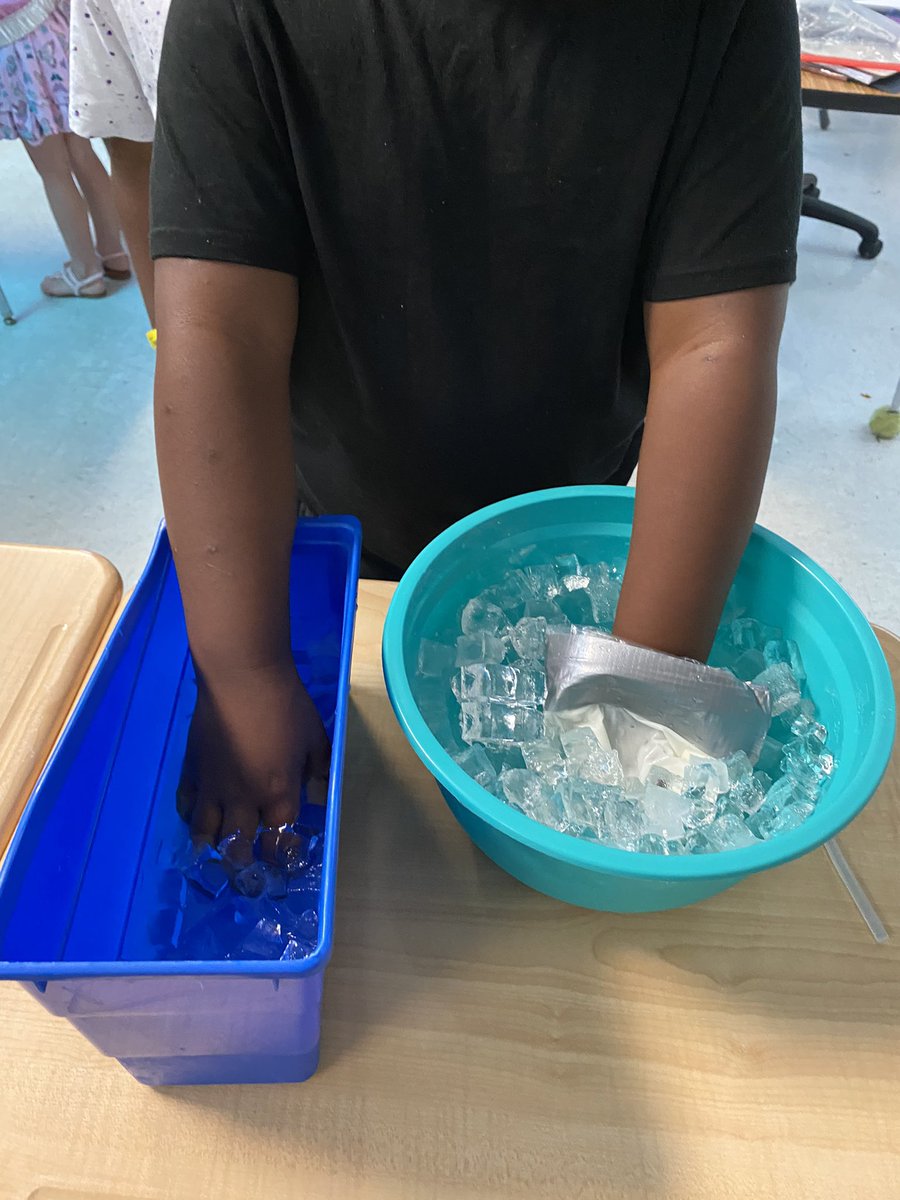 Wow !!! Blubber really does keep the animals warm😲