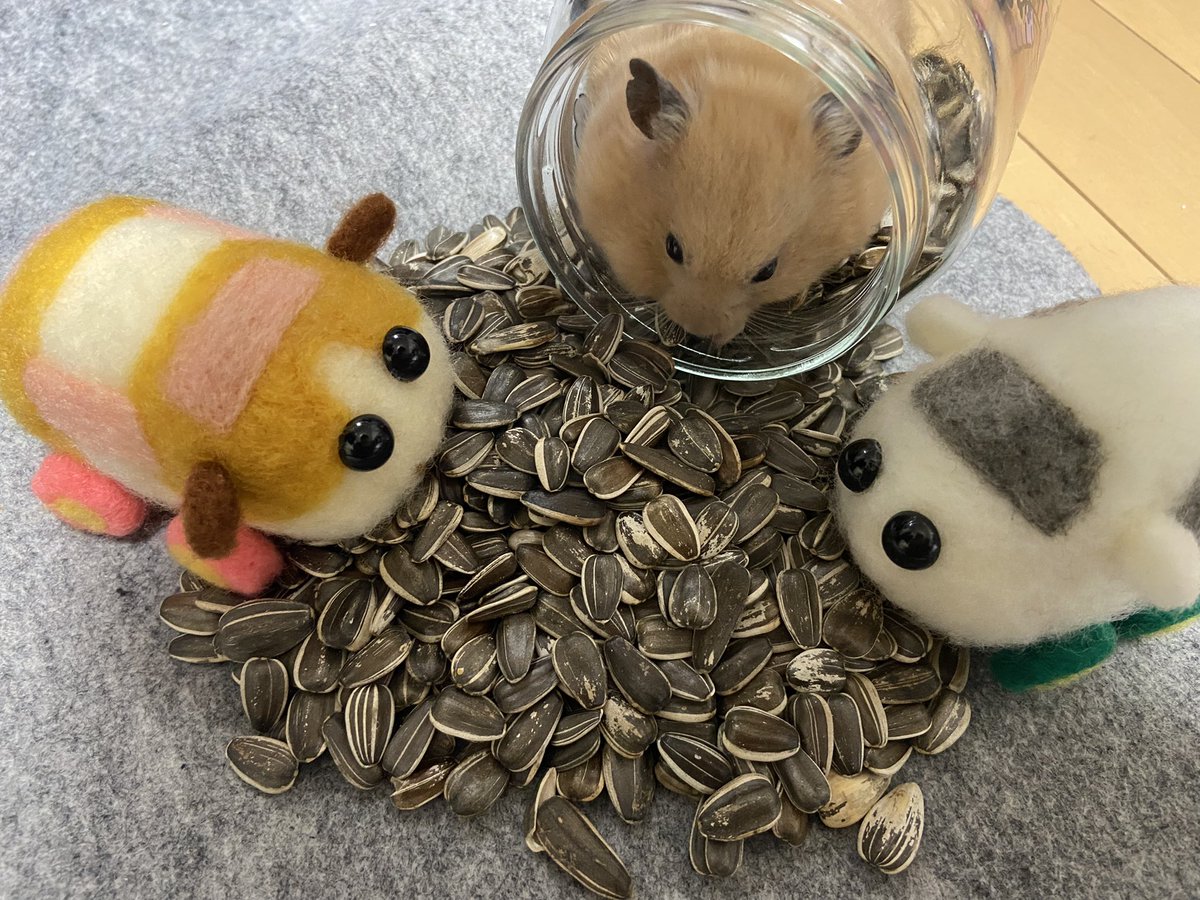 Twoucan ハムスター の注目ツイート イラスト マンガ コスプレ モデル