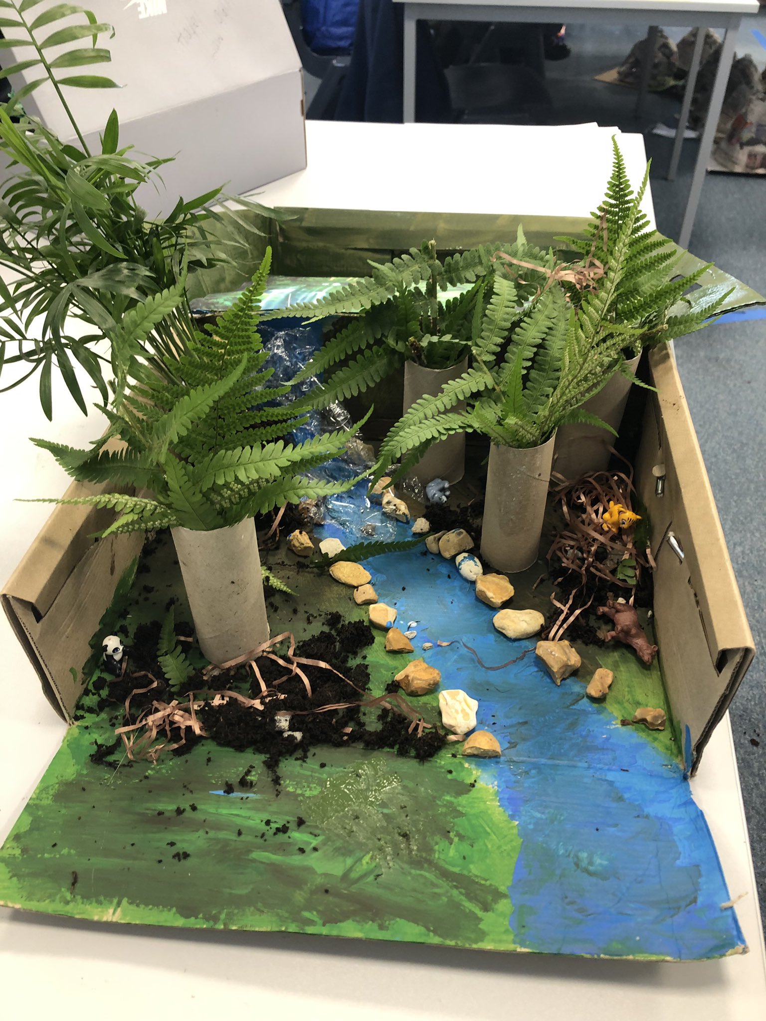 Rainforest Ecosystem Diorama