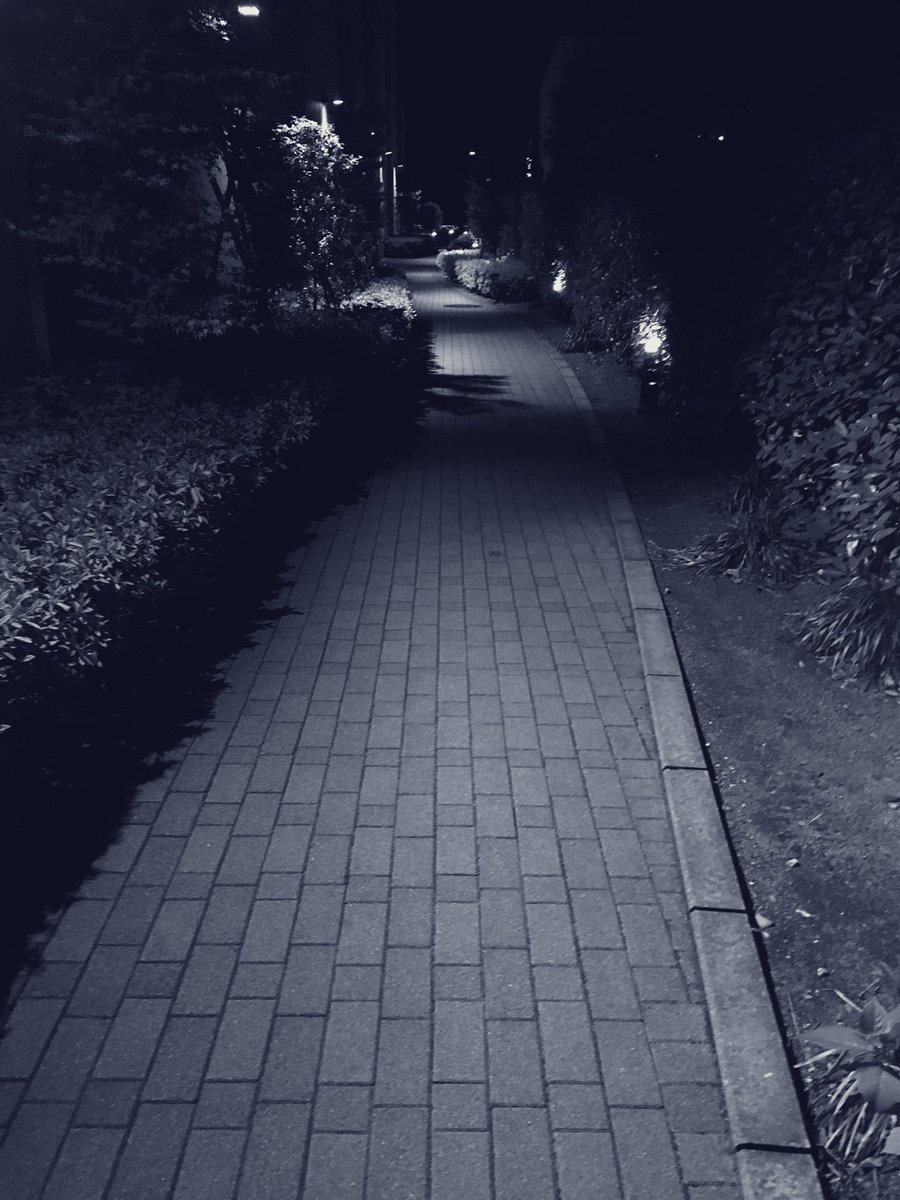 zatch404's tweet photo. ๏ผway_home https://t.co/EVUa8s4RHh