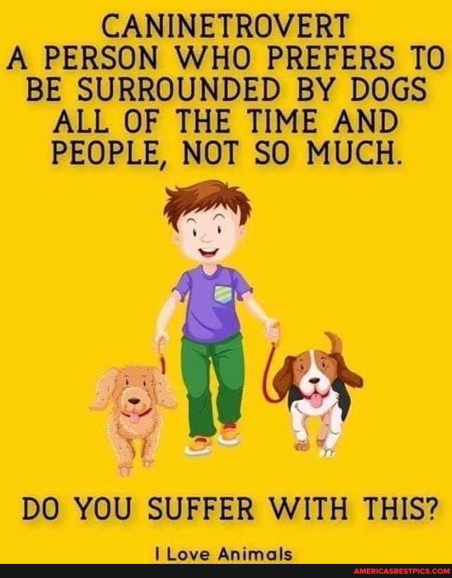 GibsonMarshag93's tweet image. #caninetrovert #person #prefers 
americasbestpics.com/picture/fOSeiP…
#AmericasBestPicsAndVideos