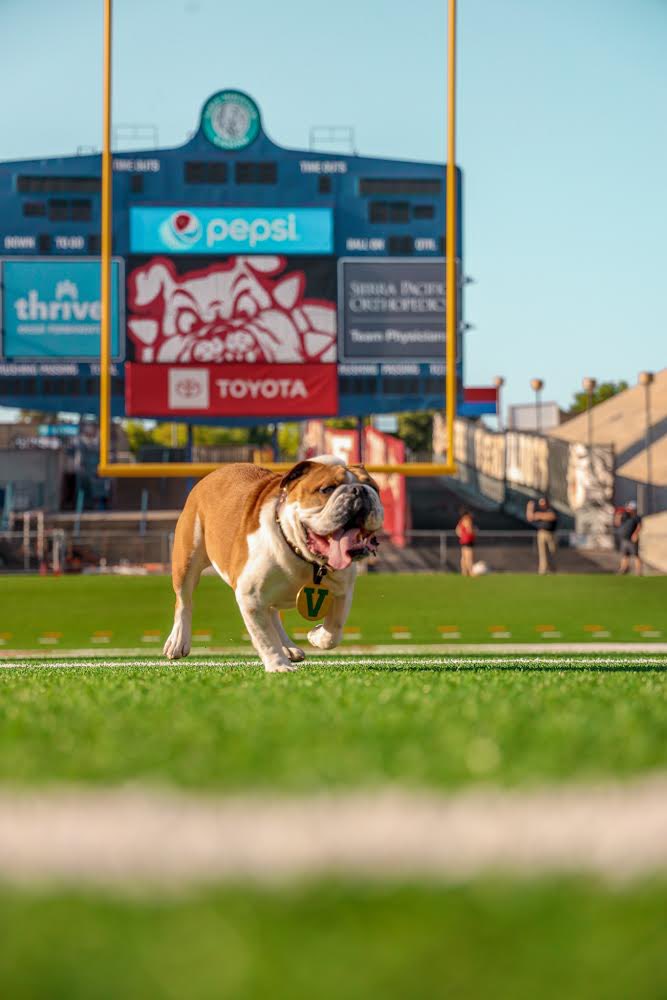 Victor E. Bulldog IV tweet media