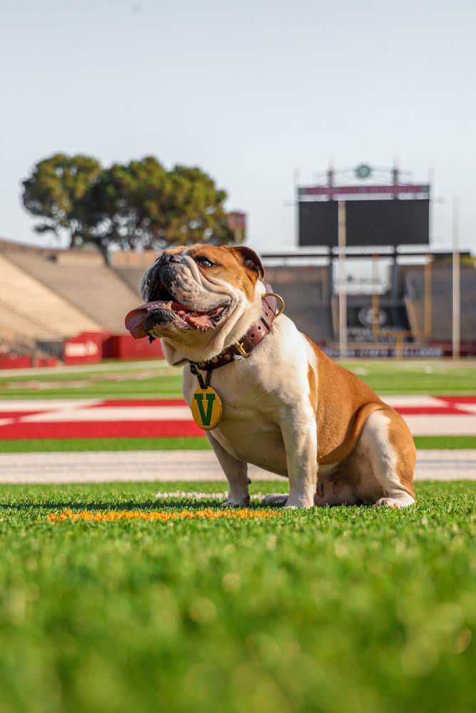 Victor E. Bulldog IV tweet media