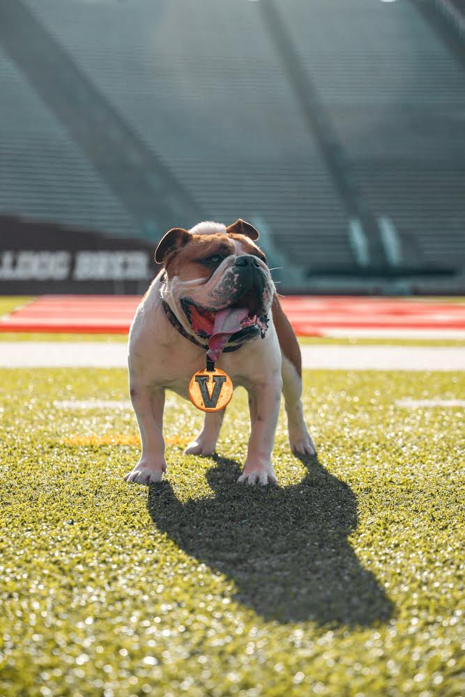 Victor E. Bulldog IV tweet media