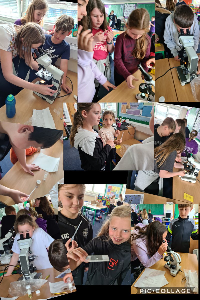 Amazing engagement and incredible science skills on display as we took part in a Pondlife workshop with Mrs Hanning of <a href="/RAiSE_falkirk/">Falkirk STEM</a> today. Thank you to <a href="/EBSOClab/">EBSOC Lab</a> for creating this incredible resource.  We are the first class to try it and it was brilliant! <a href="/KPS_STEM/">KPS_STEM</a> <a href="/kinnairdps/">Kinnaird Primary</a>