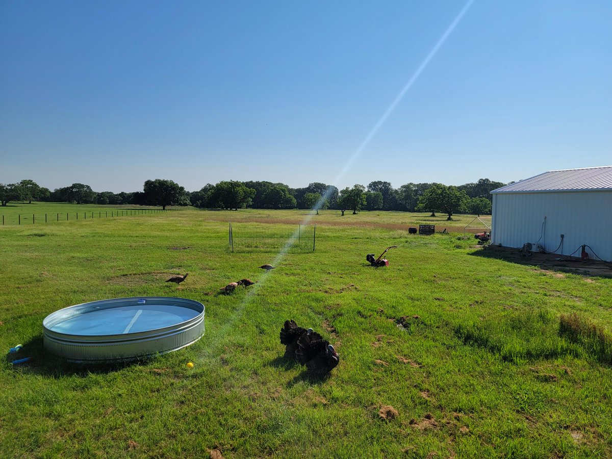 boltontechnical's tweet photo. We did end up safely at the ranch for testing: b/c at #BoltonTechnical, we test where it matters... true #antenna #testing to show we mean business in helping customers with their #cellularsignal amplification systems Cc @signalboosters @wilsonampsales @goingtoroundtop https://t.co/QDiamZmugN