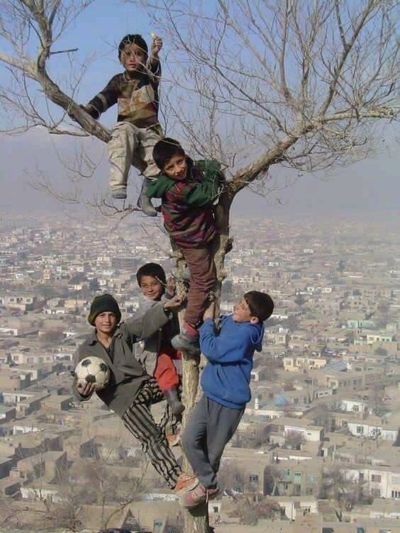 پر جنګ به تیږه کېږدو، جنګ بـه مـړو سترګو ته پرېږدو
راځه چې لـــه شــــاهیـــــن ســره کــوتـــرې پـه هوا کړو

منــــصور بـــــه پــــه ګــلابــــو پـــه نـــرګســـو باندې ولو
دحـــــق پــــر ضـــــد بــاطلـــه بــــه دهــر مـــلا فتوا کړو

پیر محمد کاروان