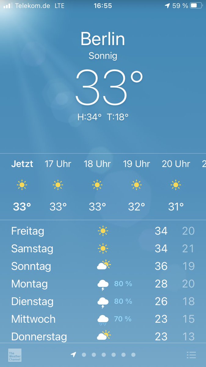 Irene Seling 🌳🌲 tweet media