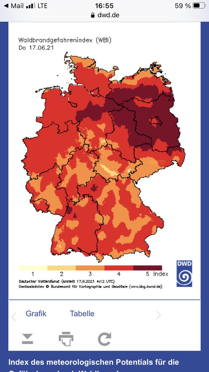 Irene Seling 🌳🌲 tweet media