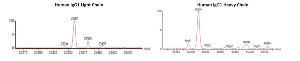 MBLICorp's tweet photo. Why Use Isotype Control Antibodies? Using a matched isotype negative control can account for added variables and enable more precise data analysis. Learn more about Isotype controls: https://t.co/shK8RNnqf2

#DrugDiscovery #IsotypeControls #Antibodies #CancerResearch #Oncology https://t.co/DmjsCAGSBw