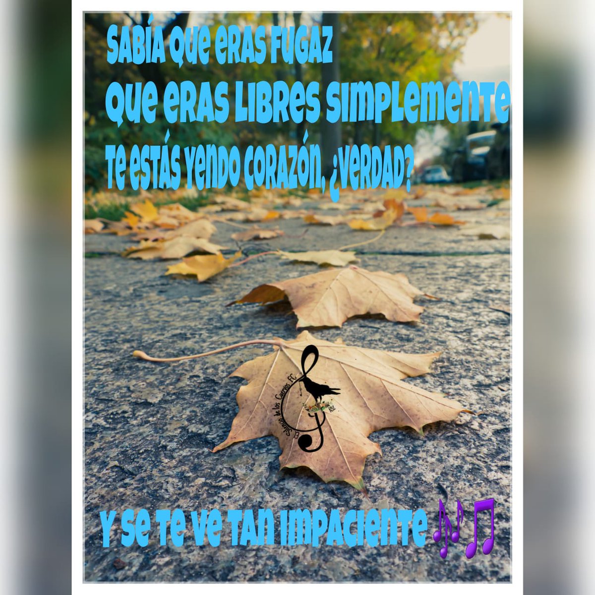 CuervosPeruFC's tweet photo. Lo supe siempre eres fugaz💫
Y aun así yo me arriesgué ♥️ Lo haría otra vez....🎶🎶 #PeroEstaTardeNoTeVas @AlejandroSanz ❣️#Vive @SilencioCuervos https://t.co/ggIQbhPOCo