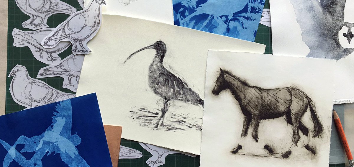 We're delighted to announce our next exhibition Love Nature More, over 40 prints celebrating our recently intensified relationship with our natural environment created by Northern Print's studio artists. 

northernprint.org.uk/blogs/whats-on…