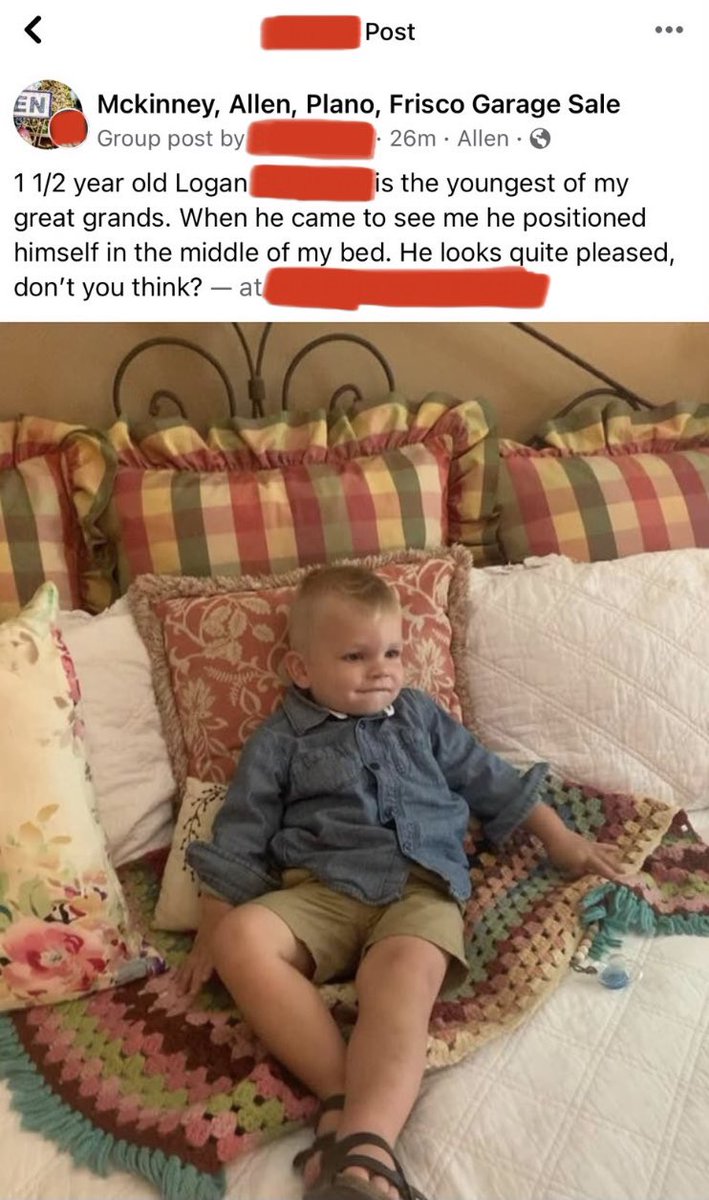 wholesome boomer content tweet media