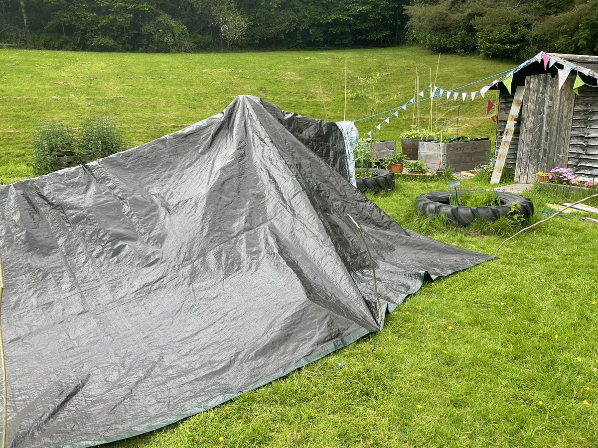 lussprimary's tweet photo. Who would live in a den like this ? 🤔 #DenDay https://t.co/sAD5heEGZf