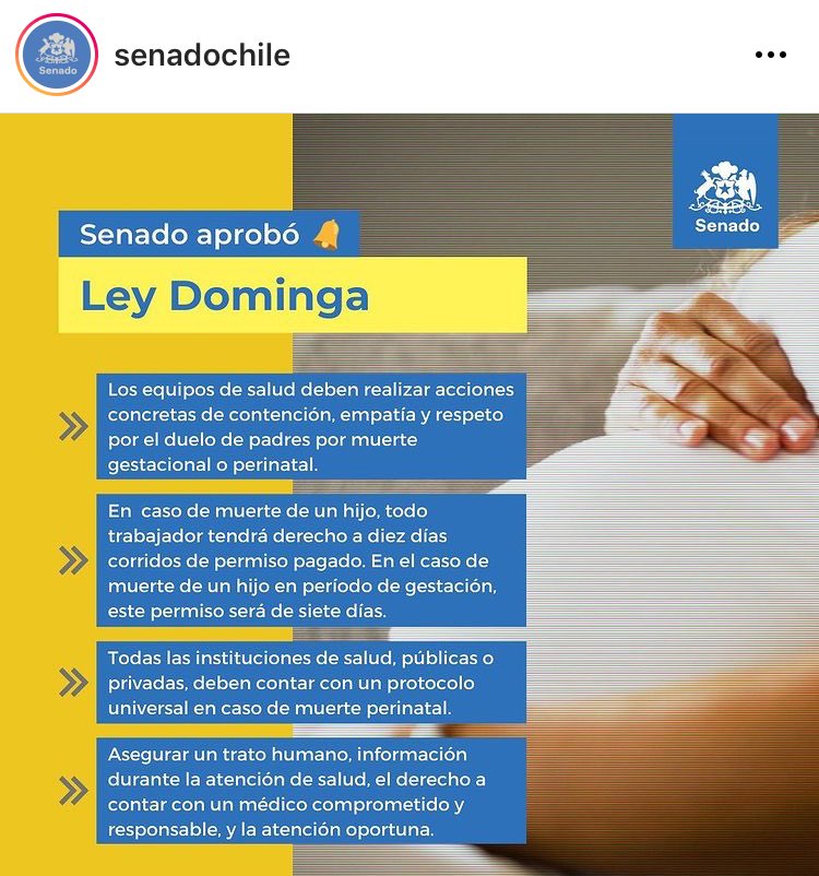 Aprobado en Chile ✊🏼 #leyDominga