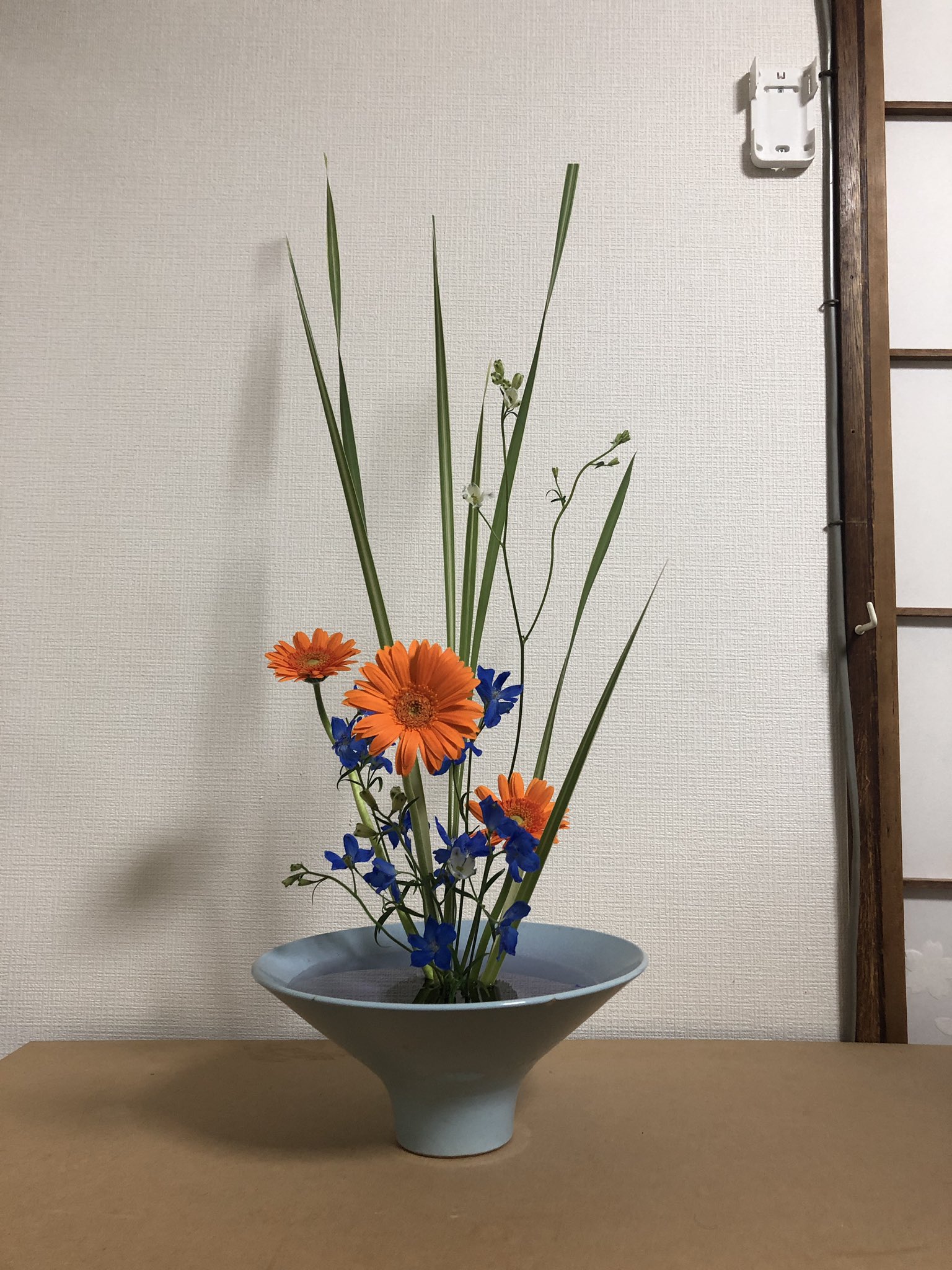 Uzivatel 齊官昌伍 Na Twitteru 今週のいけばな タイトル いつかのパティタイム 今週のいけばな 花材 ガーベラ デルフィニウム シマガマ 花言葉 ガーベラ オレンジ 冒険深 デルフィニウム 清明 生け花 自由花 Ikebana Flower いけばな芸人 花