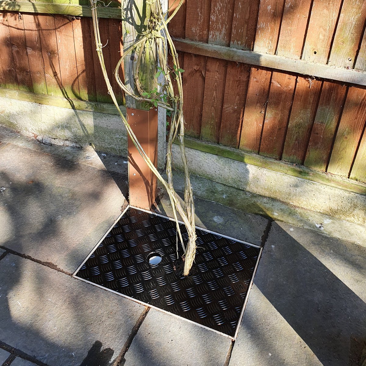 ChequerplateUK's tweet image. Bring practicality and style together. Cover up unsightly gaps where hardscape surrounds trees. 
A fantastic finish touch to your garden landscape.

Learn More: bit.ly/37BSUw2 

#urbantreeplanting #hardscape #publicspaces #designplanning #contractor @TreesforCities