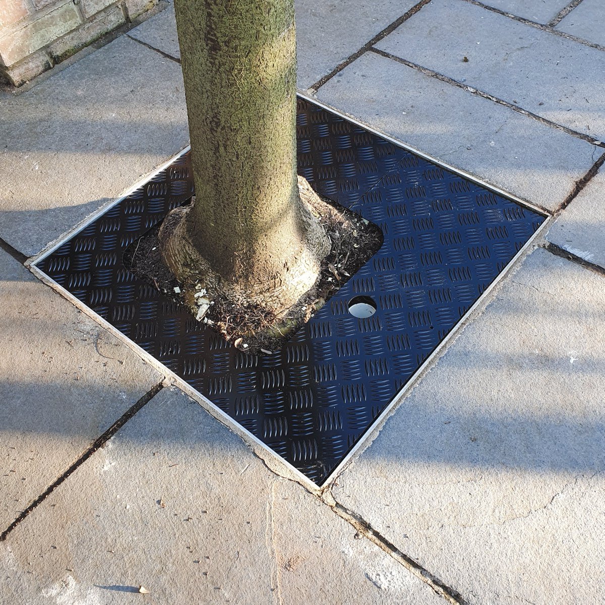 ChequerplateUK's tweet image. Bring practicality and style together. Cover up unsightly gaps where hardscape surrounds trees. 
A fantastic finish touch to your garden landscape.

Learn More: bit.ly/37BSUw2 

#urbantreeplanting #hardscape #publicspaces #designplanning #contractor @TreesforCities