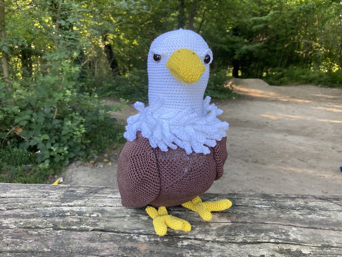 _creativissimo_'s tweet photo. Hallo zusammen, Weißkopfseeadler zählen zu den größten Greifvögel Nordamerikas. Die meisten leben an Flüssen, Seen oder an der Küste.
.... oder eben bei jemandem, dessen Herz er im Sturm erobert hat... so wie Wotan Weißkopfseeadler.

Die Anleitung gibt es in meinen Shops https://t.co/JiqhWyGkJc