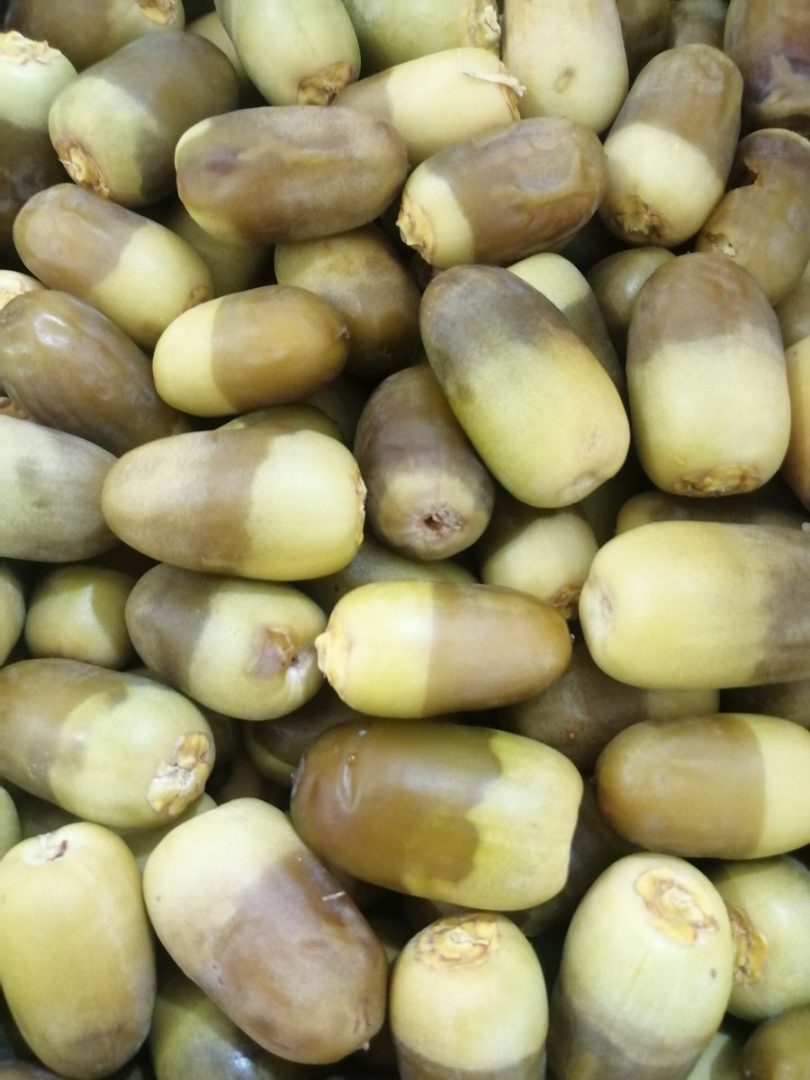 #تمور_الكامل_وسايه
ماشاء الله تبارك الله العاينه وصلت
اليوم ٢٠٢١/٠٦/١٧م ١١/٠٧ /١٤٤٢هـ