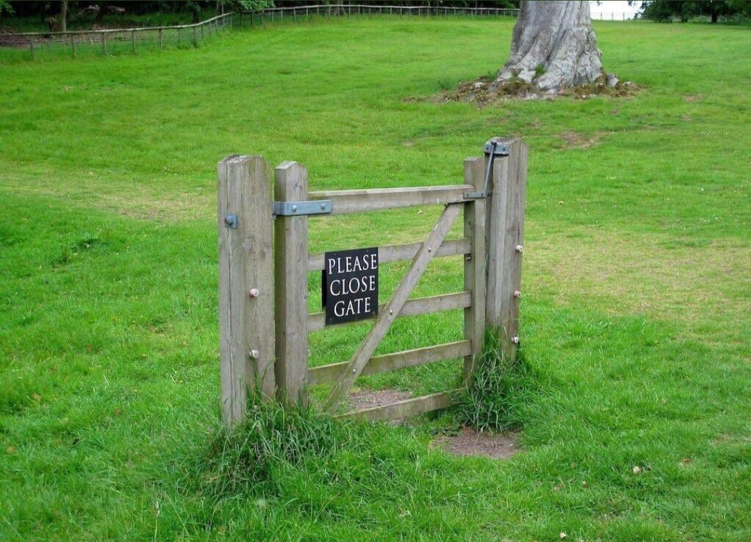kaffi68's tweet photo. Now this causes me anxiety 🙈😳
Which way would you go..
Through, climb over or go round?
#closedgate #openfield
#pondery #whichwaytogo https://t.co/iw18Z1oQ1a