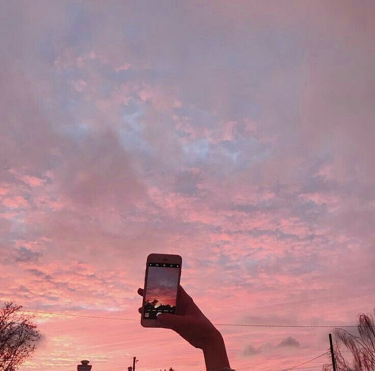 Sunsets 🌅 tweet media