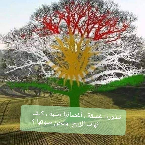 nsarrafat9's tweet photo. https://t.co/HvReKdpFp8