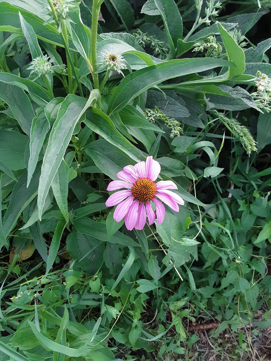 bridget ❤ tweet media