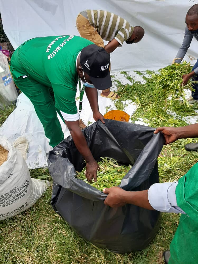RadioNyagatare's tweet photo. #AMAKURU

Umushinga @RDDP na @RwandaAgriBoard bari mu bukangurambaga bwo gusobanurira aborozi b'i @Nyagatare uburyo butandukanye bwo guhunika ubwatsi; harimo kubwumisha no kubuhunika mu mashashi ya plastic, mu rwego rwo guhangana n'ikibazo cy'ibura ry'ubwatsi mu gihe cy'impeshyi. https://t.co/937tIUxJRe