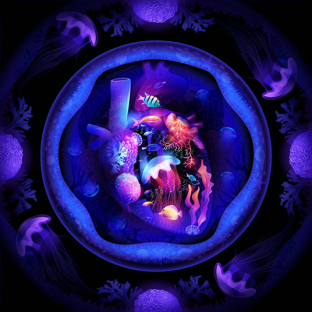 IlyaShapko's tweet photo. My new set on @Behance 

https://t.co/AmkDVLC34I

all work is done in Adobe Illustrator 
#fantasylight #illustration #digitalart #adobeillustrator #vectotart https://t.co/21bqm23QoV