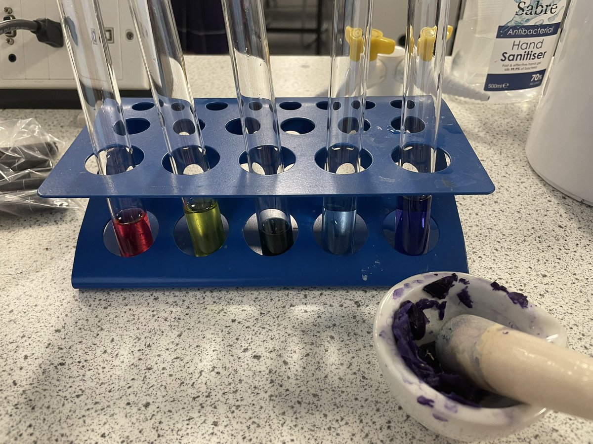 ScienceRHS_'s tweet photo. Today we made universal indicators using red cabbage! We then tested the pH of solutions and watched it change colour. https://t.co/rG9rFHh8Lw