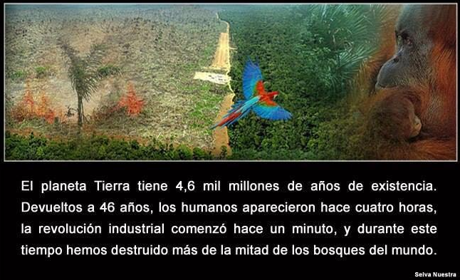 Ecogranjero's tweet photo. Somos la especie en peligro de extinguirlo todo https://t.co/iHmPX0Knq0