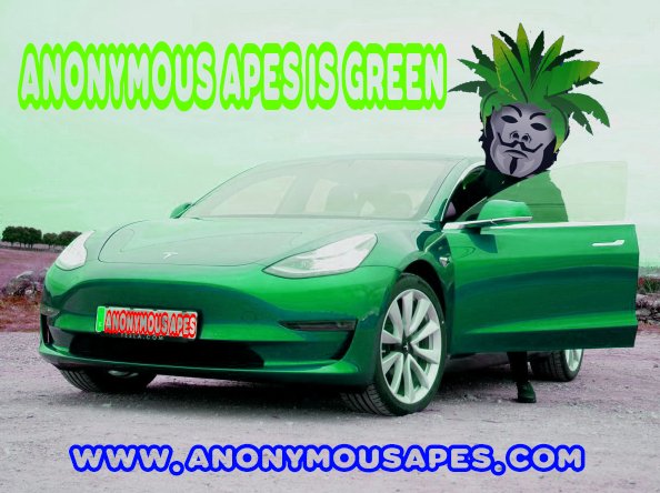 Serranus's tweet photo. @elonmusk green 💚✅
WE ARE LEGION! ✊🏻👊🏻

#toTheMoon #beApe #crypto #cryptocurrency #AA #AnonymousApes #BSC #AAArmy #weAreLegion #ElonIsOver #x1000 https://t.co/x1Z1WgSs6B