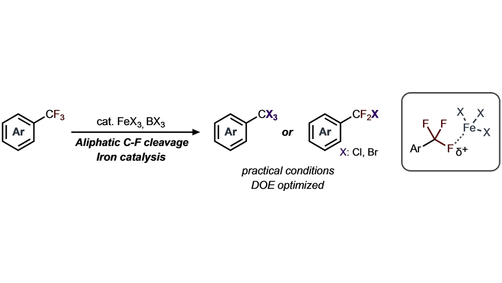 Iron-Catalyzed Halogen Exchange of Trifluoromethyl Arenes (Williams) <a href="/Williamslab1/">Williamslab</a> <a href="/uiowachem/">UIowa Chemistry</a> onlinelibrary.wiley.com/doi/10.1002/ch…