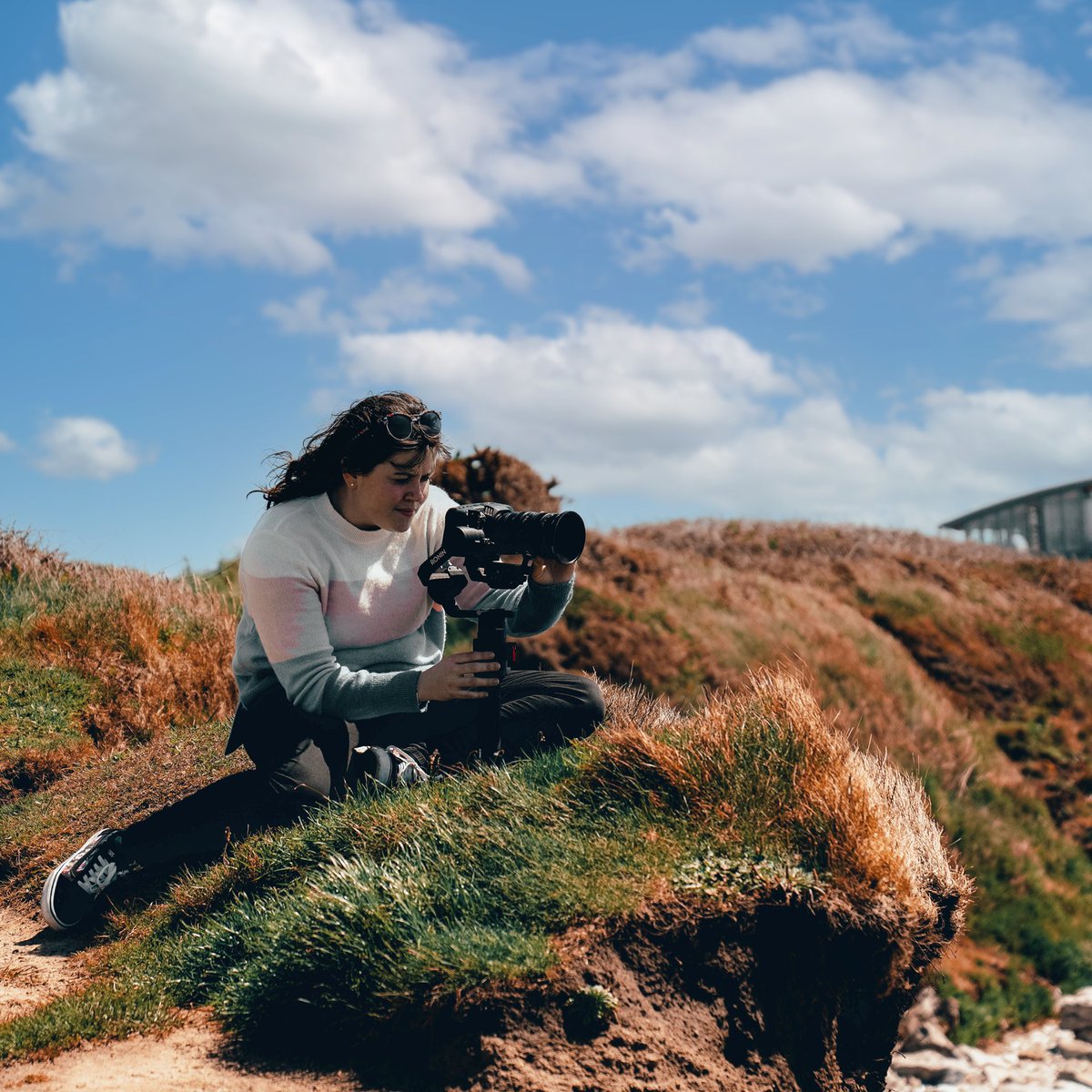 CineMerse tweet media