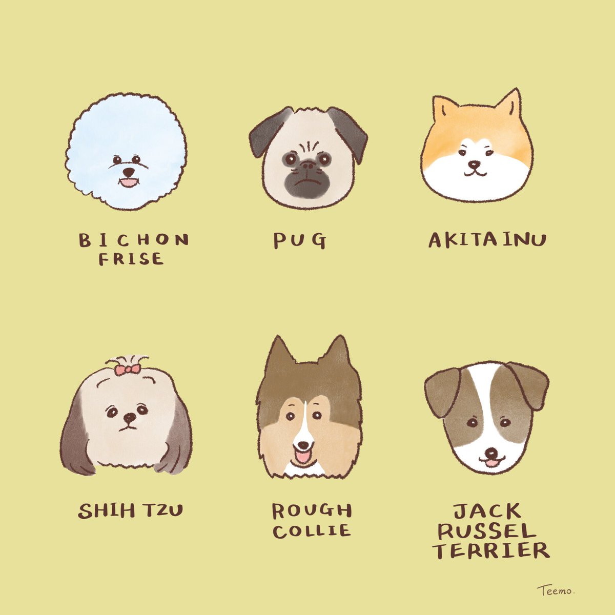 Teemo105 على تويتر わんだふる Part３ イラスト 犬 ビションフリーゼ パグ 秋田犬 シーズー ラフコリー ジャックラッセルテリア