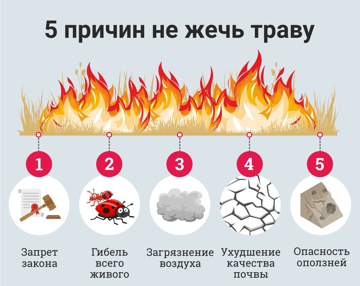 Памятка сжигание сухой травы