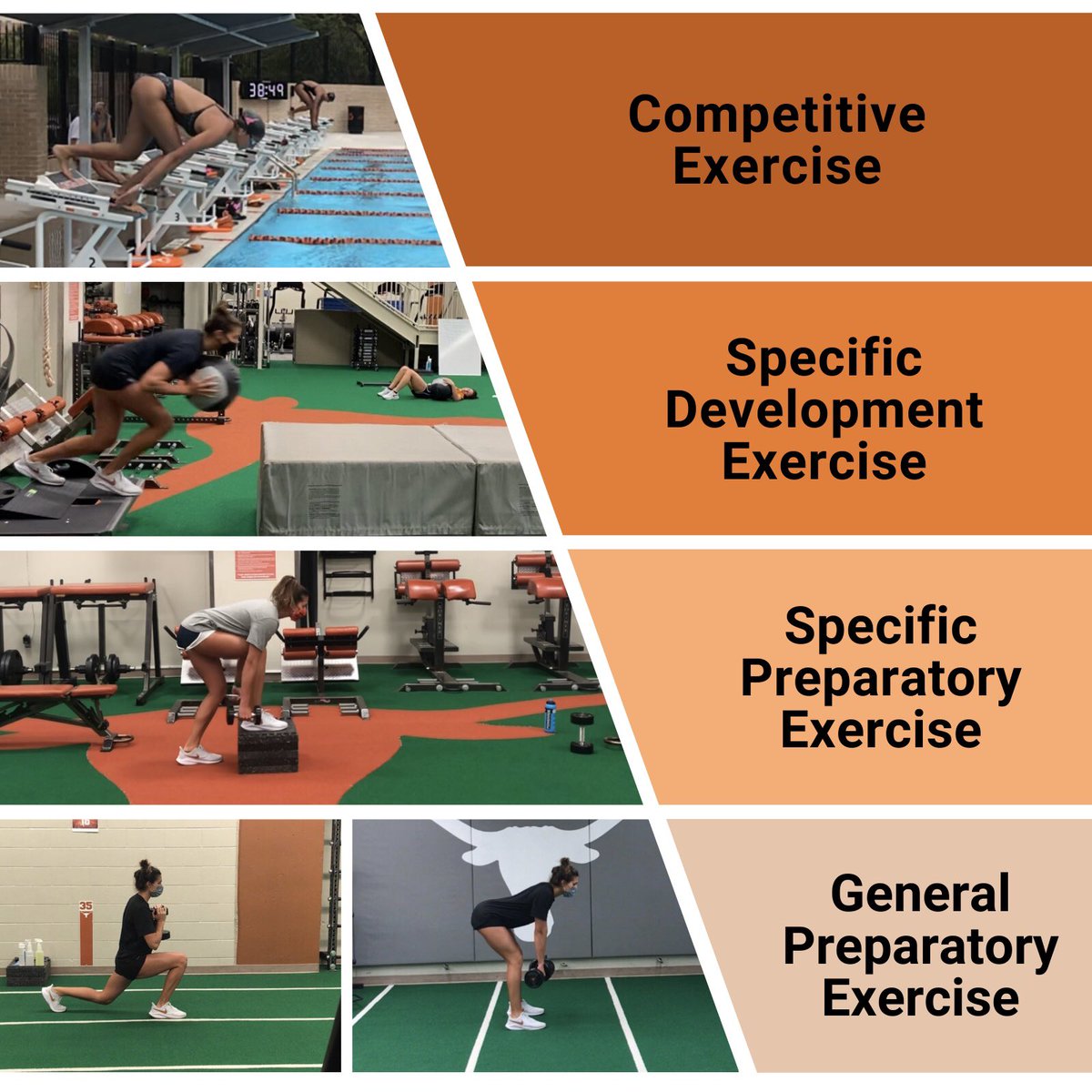 Exercise Selection: Bondarchuk’s Classification Principle

Pictured is a practical example of applying Bondarchuk’s classification principle, specifically to a swimming start, while using the criteria in the thread as a guide for exercise selection.