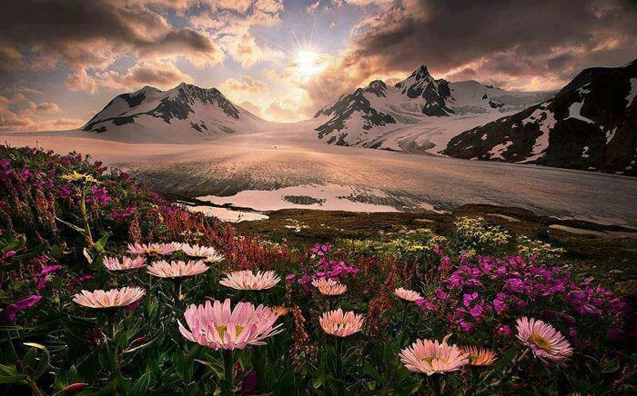 مساء الفرج
 سيأتيك الذي ترجوه يوماً 
فلاتعجل عليه وإن تأخر💕