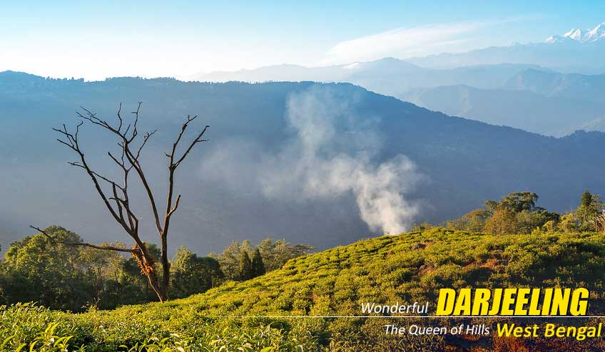 SonaliHalder17's tweet photo. BOOK PUJA HOLIDAYS SPECIAL DARJEELING PACKAGE TOUR 

#Darjeeling #DarjeelingTour #Package #Holiday #NatureWings 

https://t.co/zuO7fqhc0U https://t.co/bvd6yfkIyQ