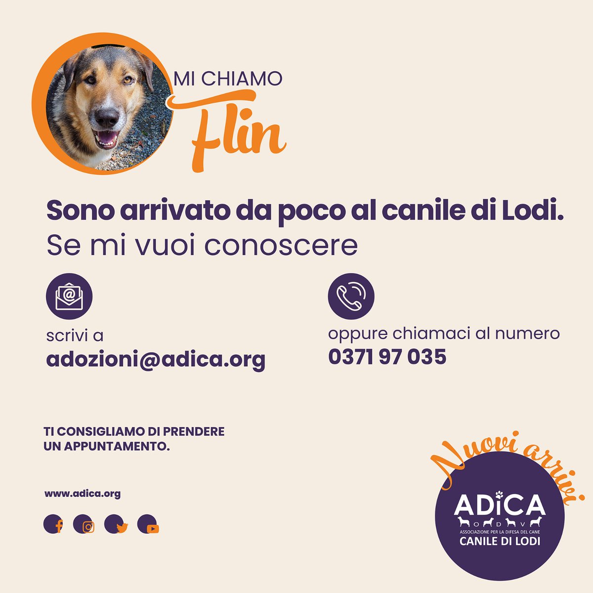 ADICA Associazione per la Difesa del Cane - ODV tweet media