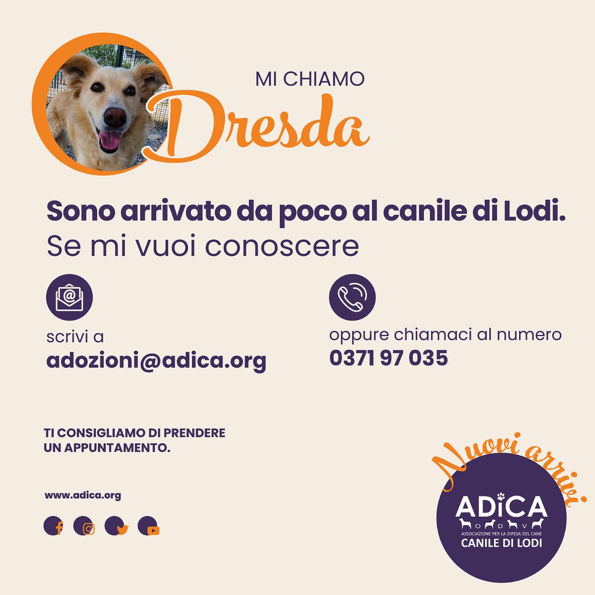 ADICA Associazione per la Difesa del Cane - ODV tweet media