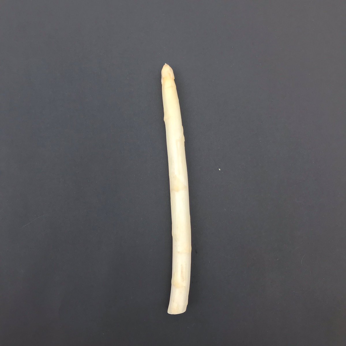 Less than 24 hours until the last of this year’s white asparagus from Wahlbeck arrives in our warehouse. Time to indulge one more time? You can place your orders for fresh asparagus later today. 

#germandeli #germandelilondon #germandeliuk #germandeliE17 #germanfood