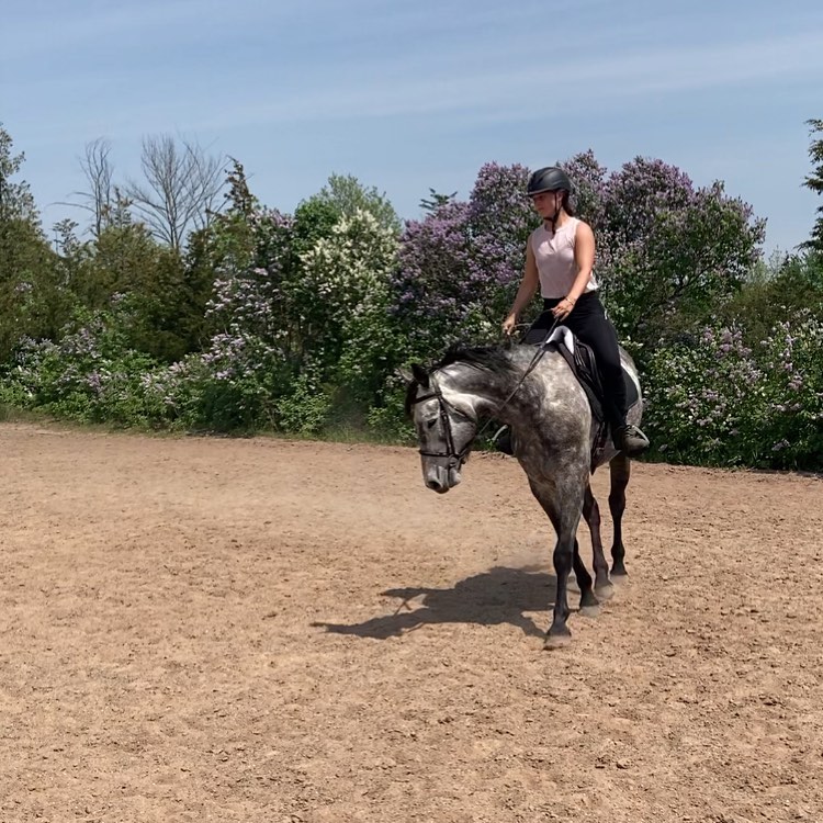 equestrianbandb's tweet photo. Working on collection with Rudy for the first time 💛 https://t.co/meHPd4RAET