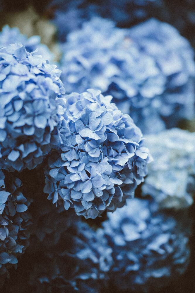 🏵️ @soIecistic , you have received a delivery! 🏵️

|| ❝ For my loyalty lies in you;

It had always been you, sunshine. ❞ ||

ㅤㅤㅤㅤ  ㅤㅤㅤㅤ  — A.